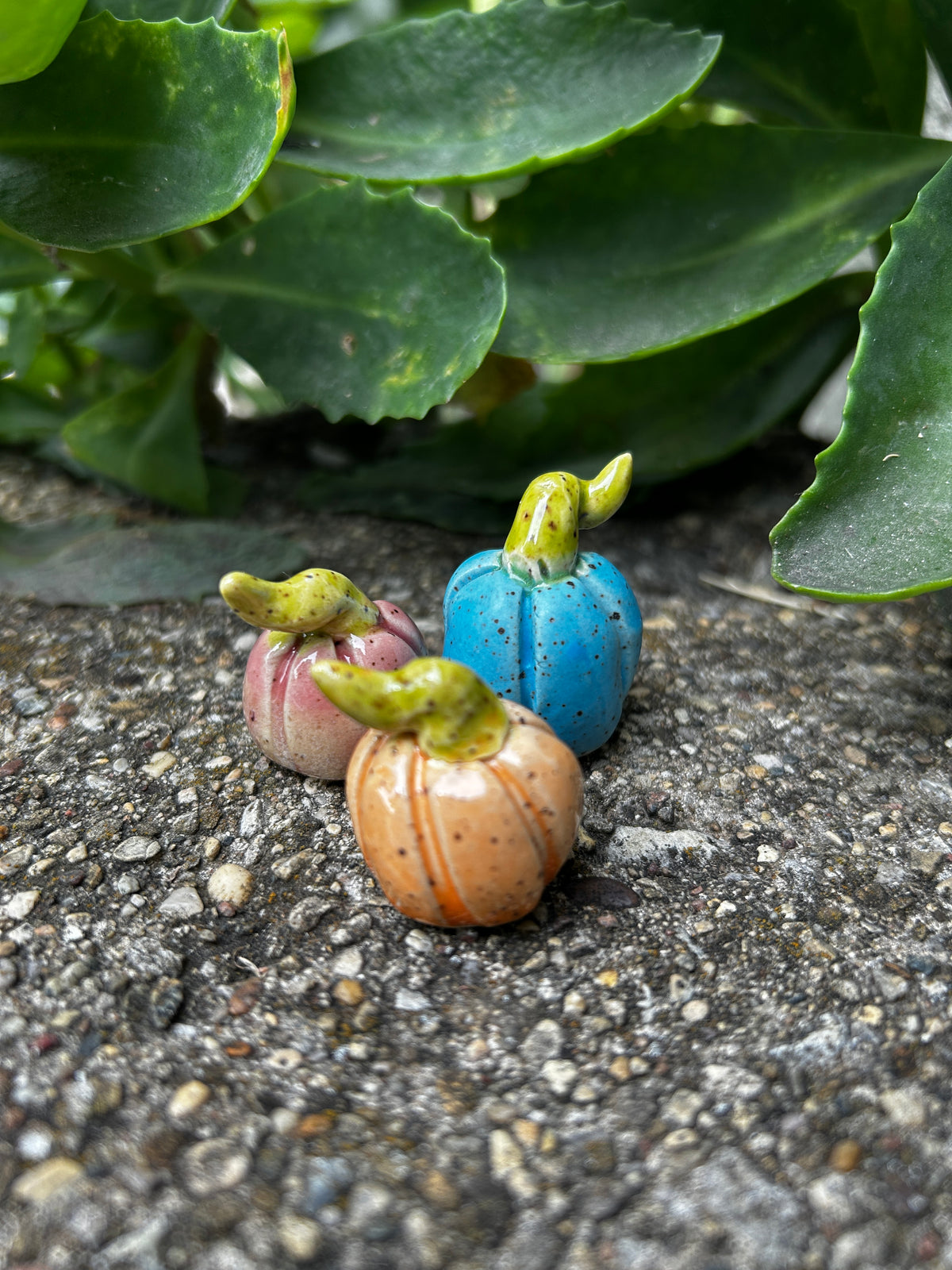 Mini Pumpkin Trio: Pastels D