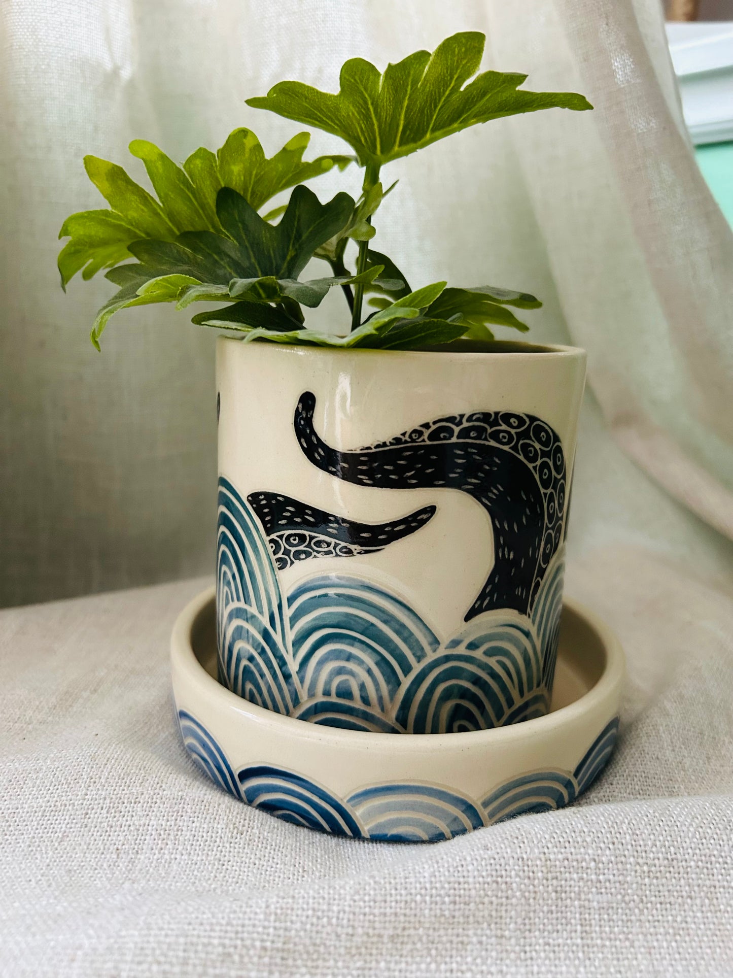 Sealife Planter: Black Tentacles