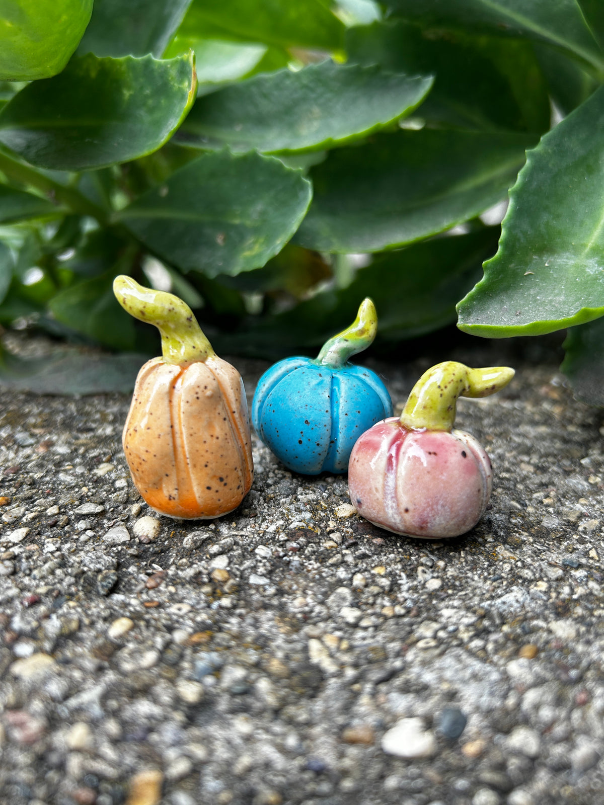Mini Pumpkin Trio: Pastels C