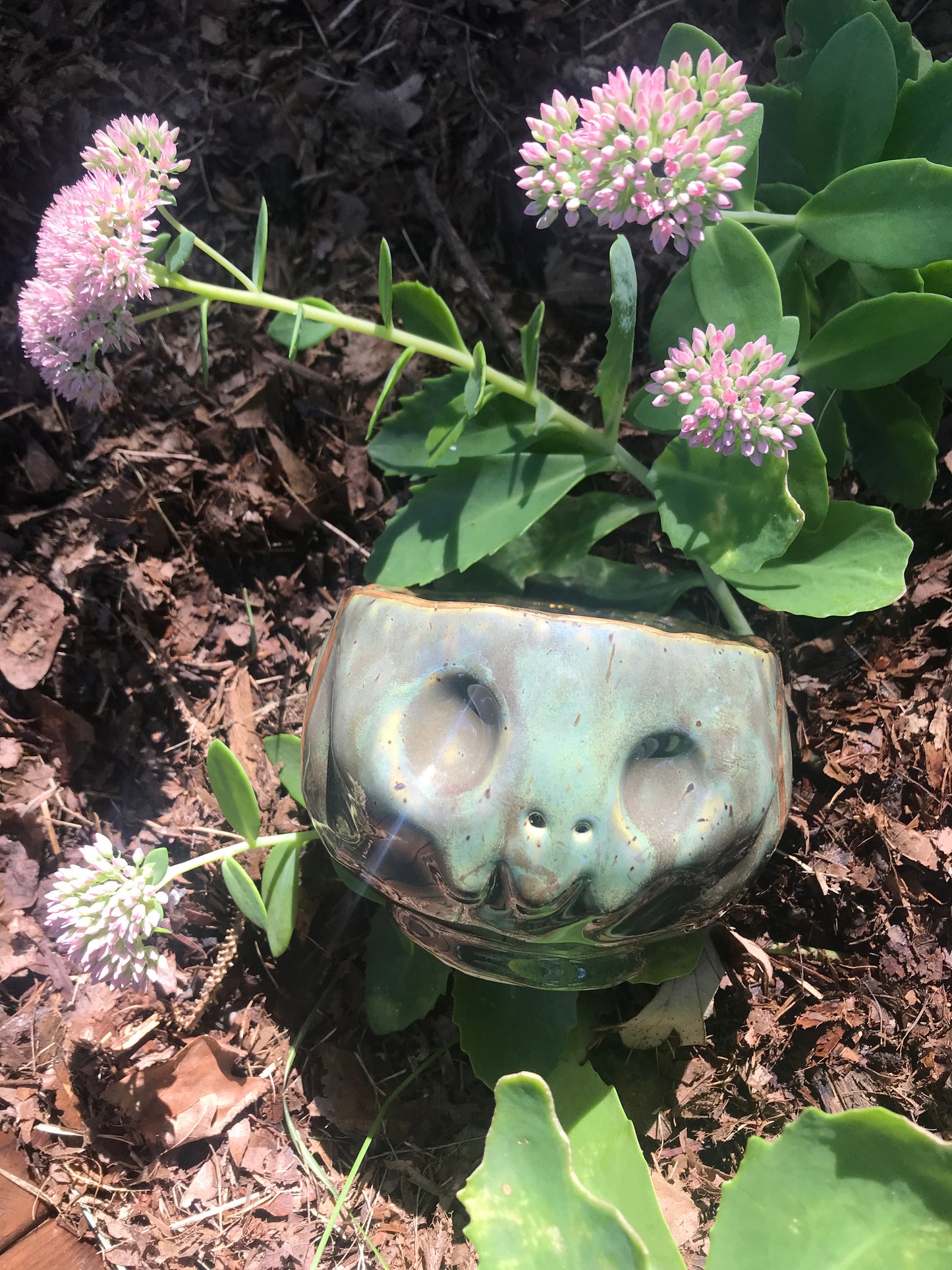 Skull Sipper - Swamp