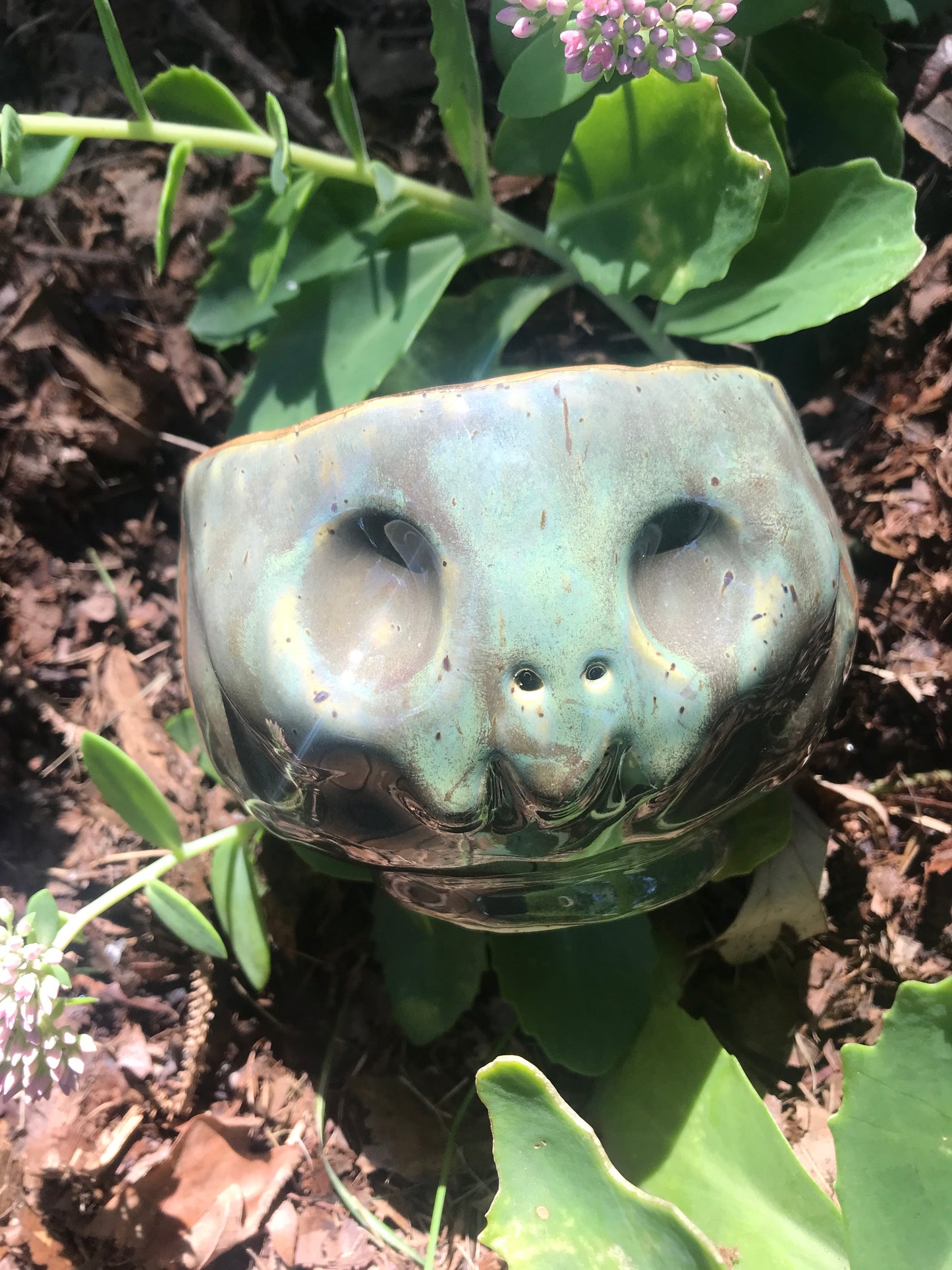 Skull Sipper - Swamp
