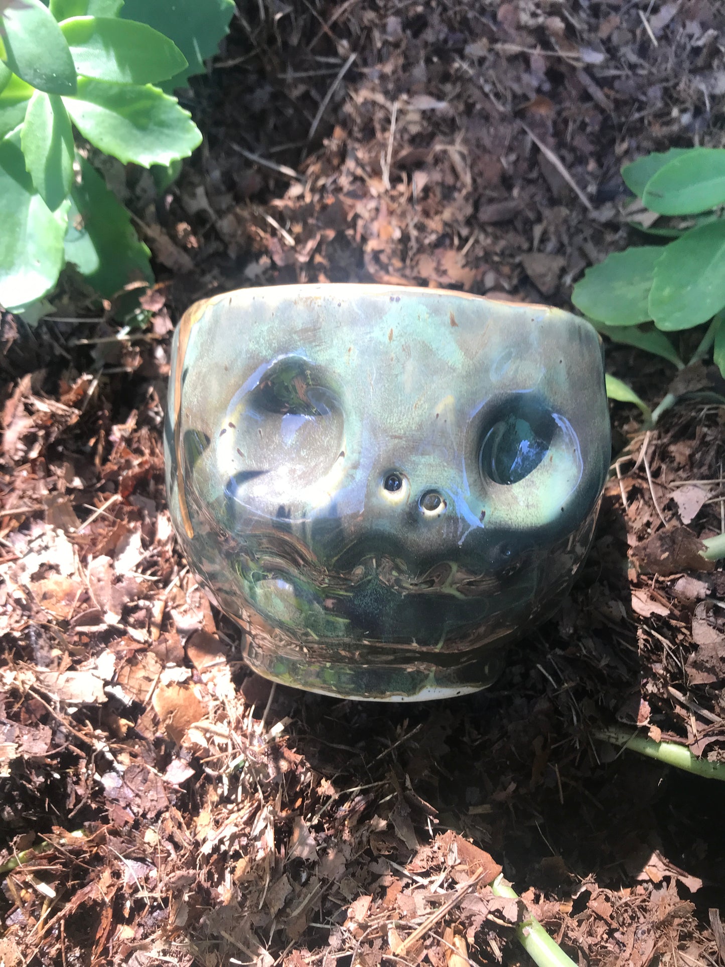 Skull Sipper - Swamp