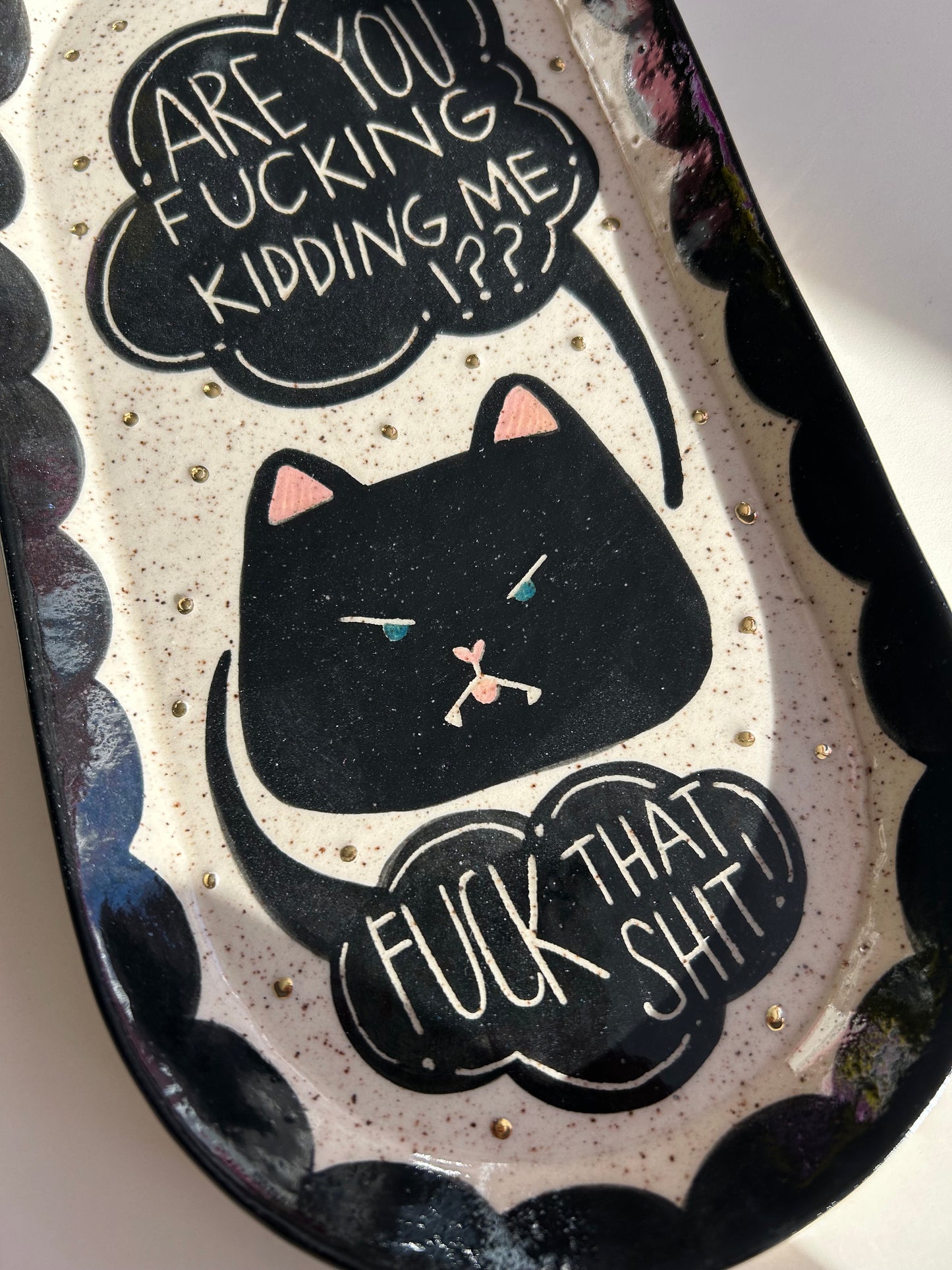 Cat Platter- Are You Fucking Kidding Me?