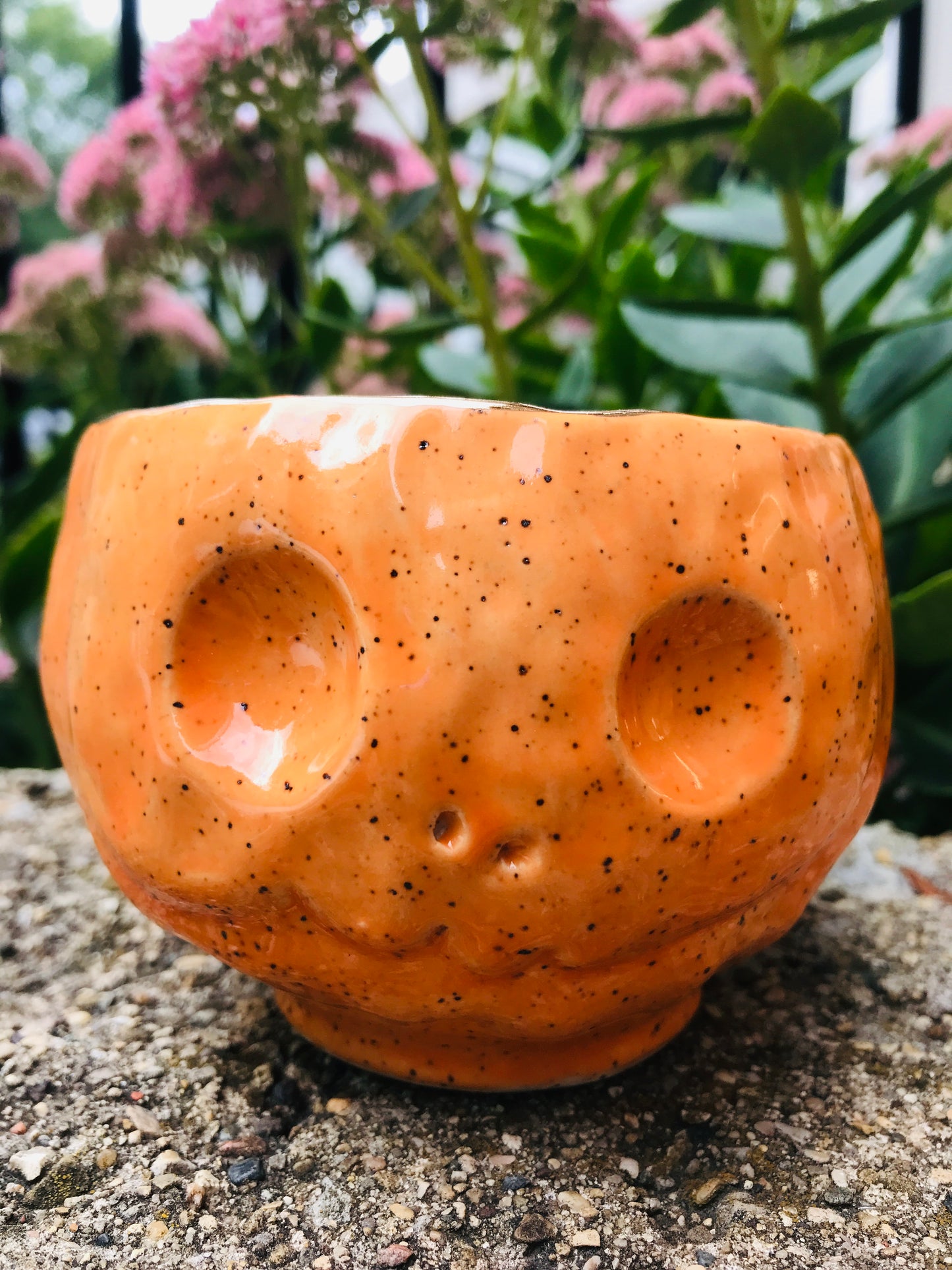 Skull Sipper - Tangerine Dream