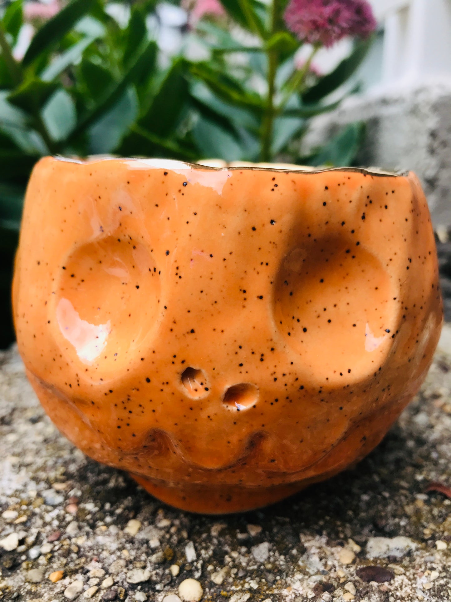 Skull Sipper - Tangerine Dream