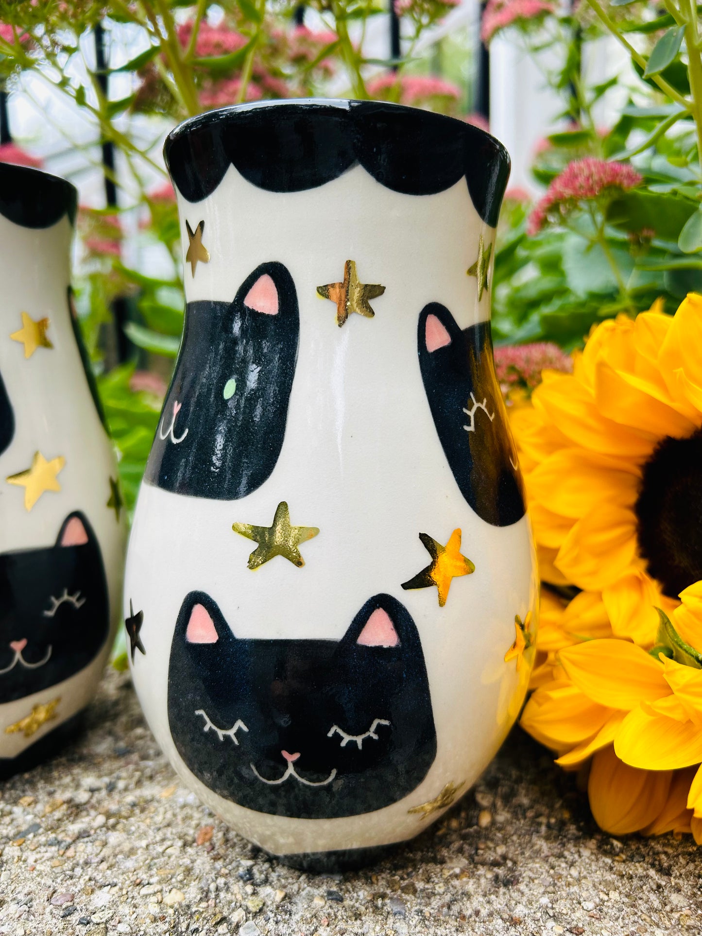 Cat Vase- Starry