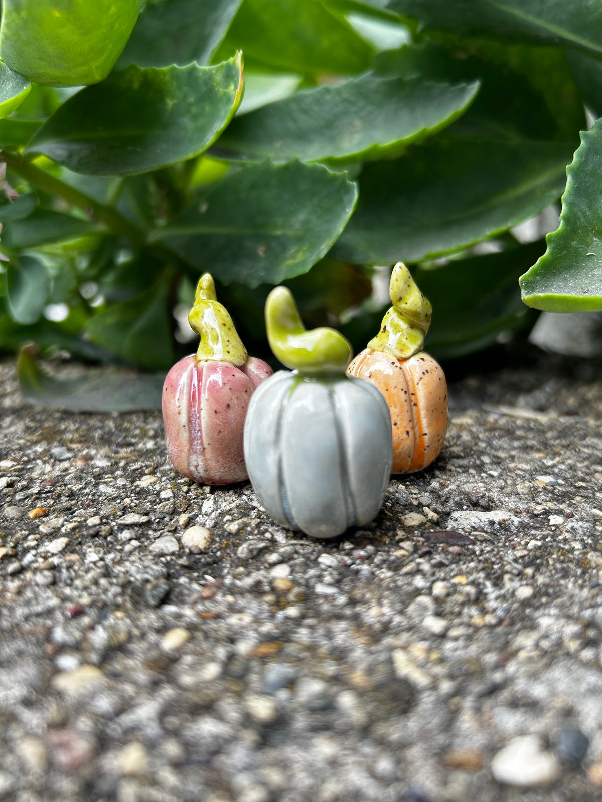 Mini Pumpkin Trio: Pastels A