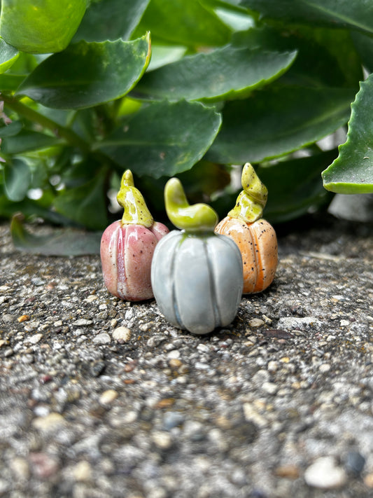 Mini Pumpkin Trio: Pastels A