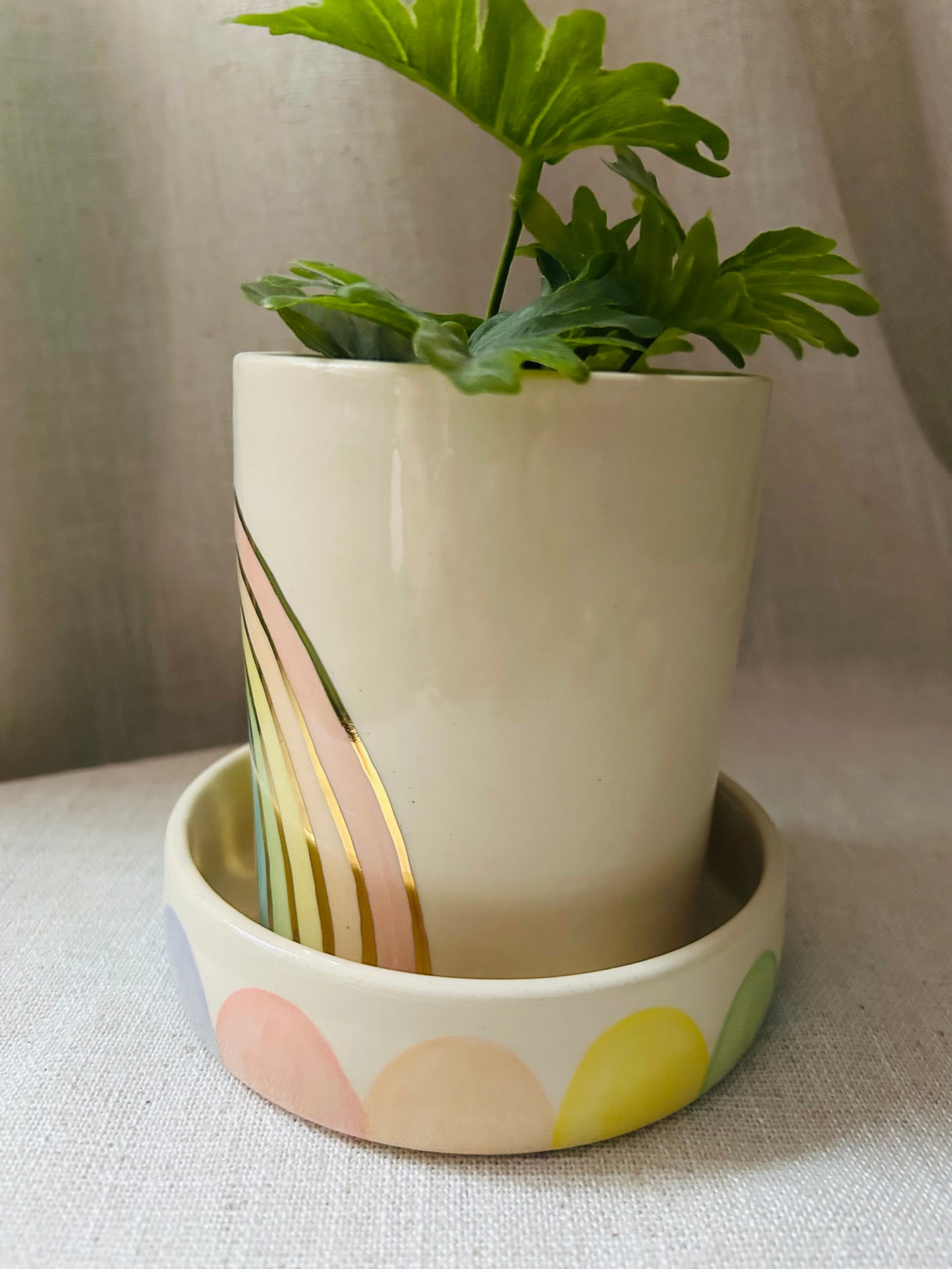 Rainbow Planter