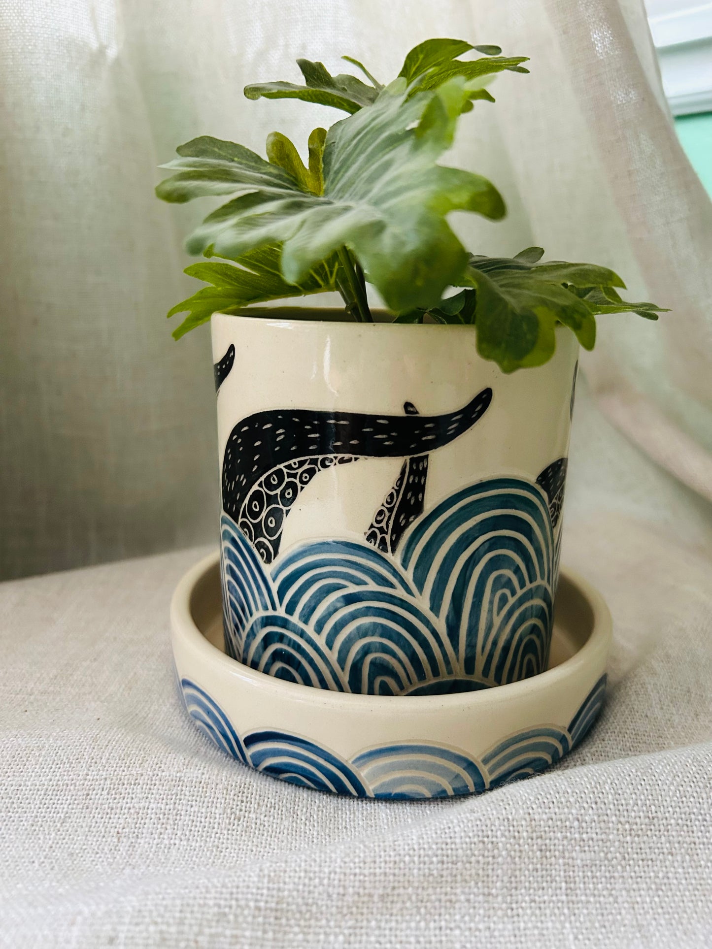Sealife Planter: Black Tentacles