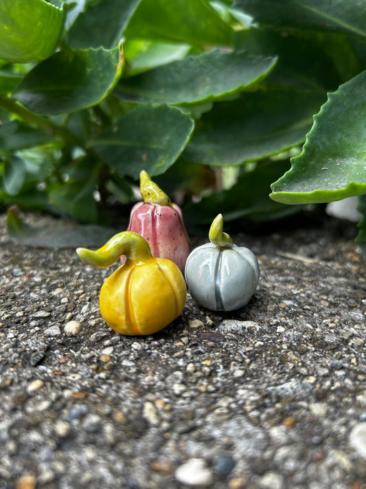 Mini Pumpkin Trio: Pastels B