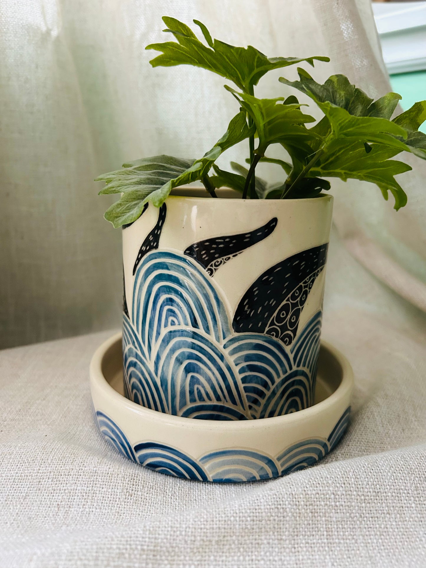 Sealife Planter: Black Tentacles