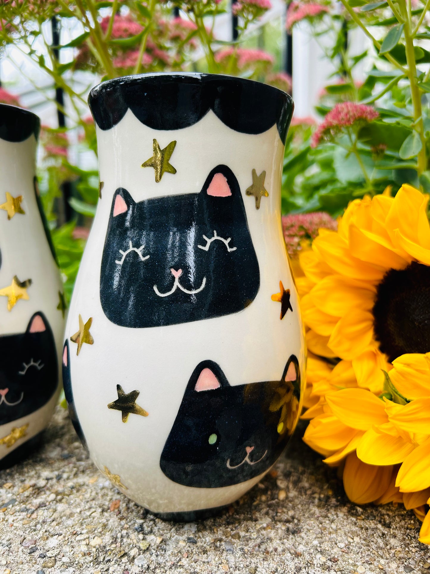 Cat Vase- Starry