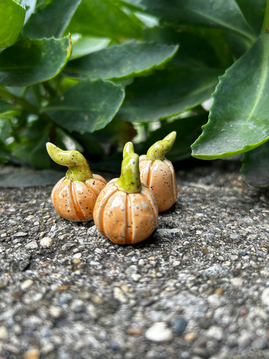 Mini Pumpkin Trio: Orange You Glad?