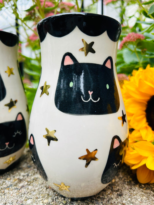 Cat Vase- Starry