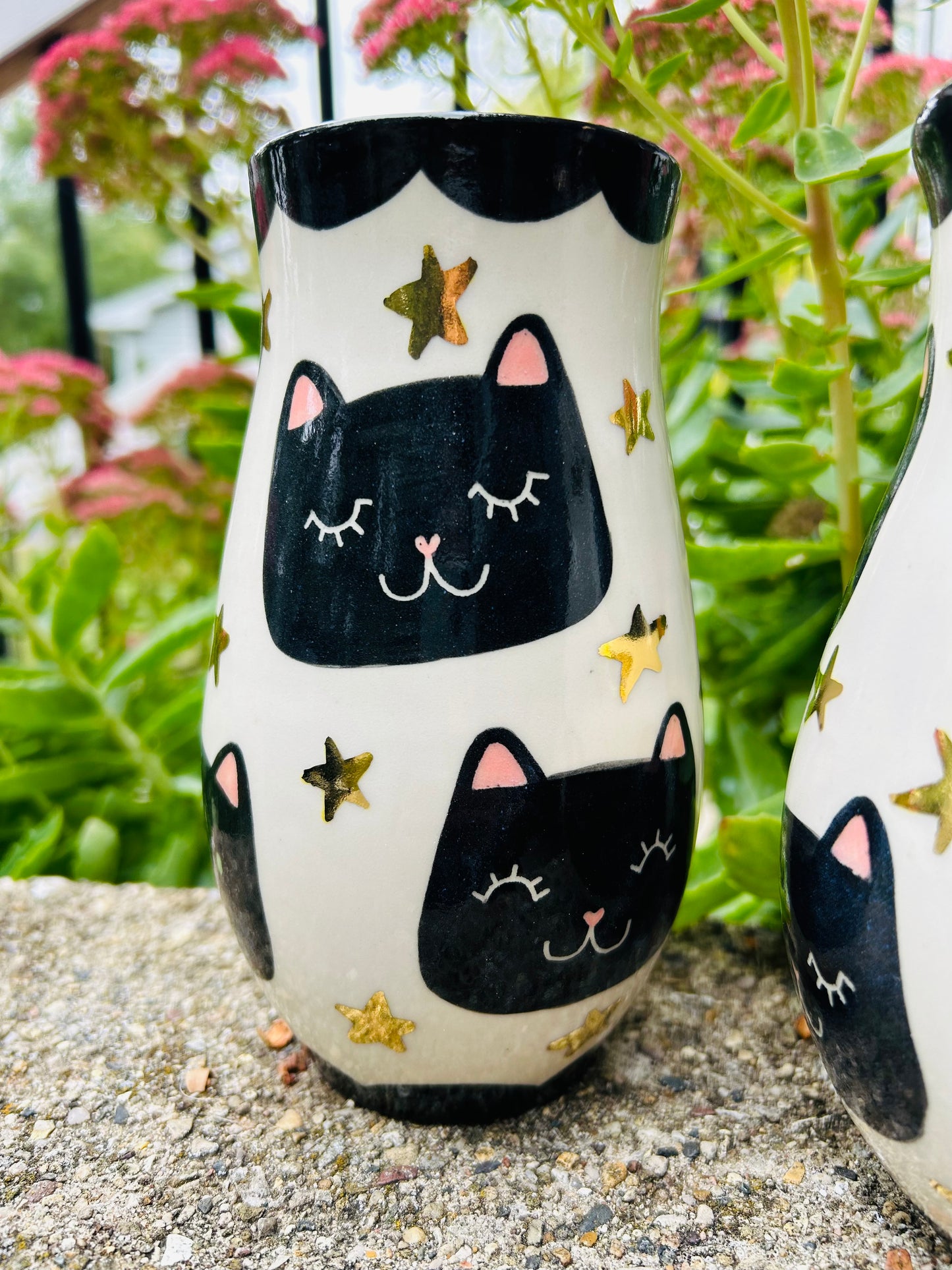 Cat Vase- Starry