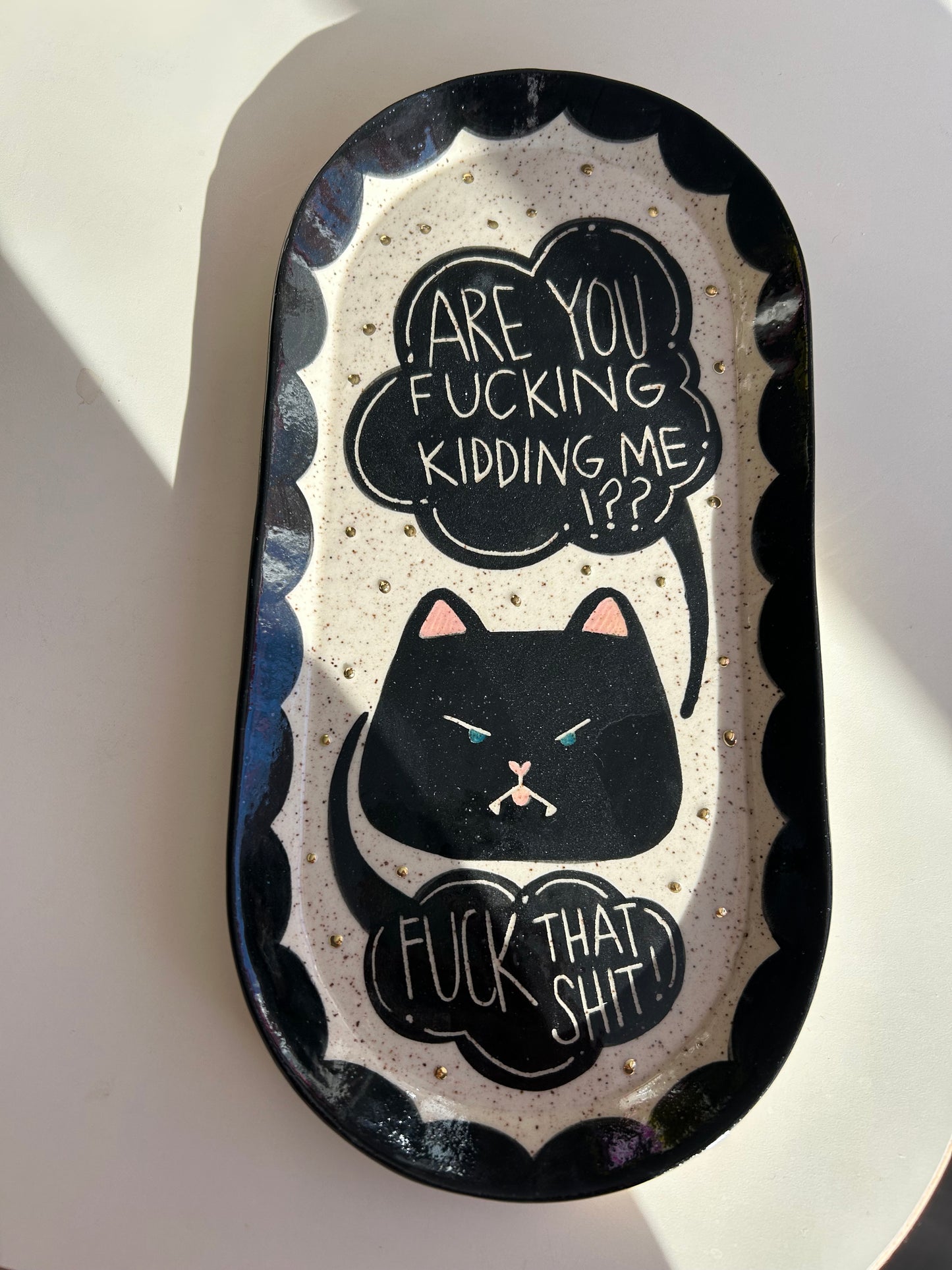 Cat Platter- Are You Fucking Kidding Me?