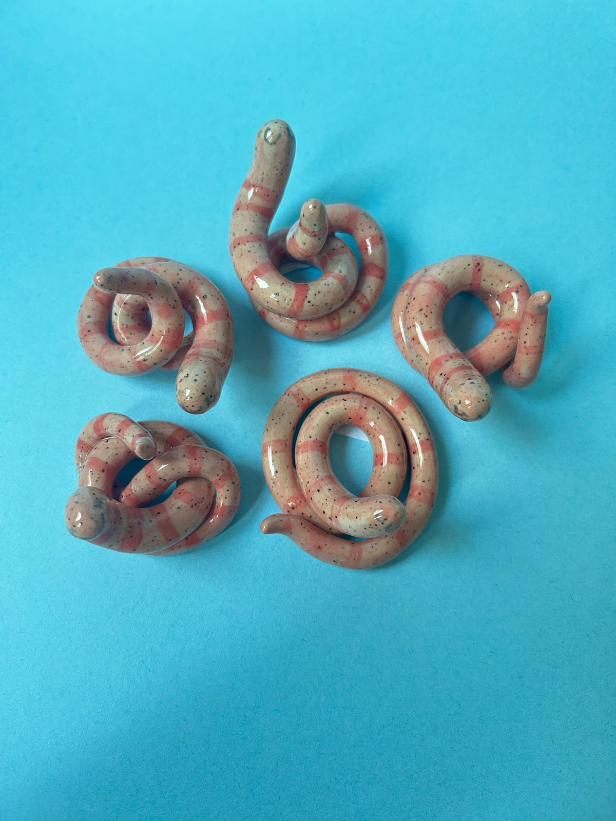 Worm Desk Buddy/ Ring Holder
