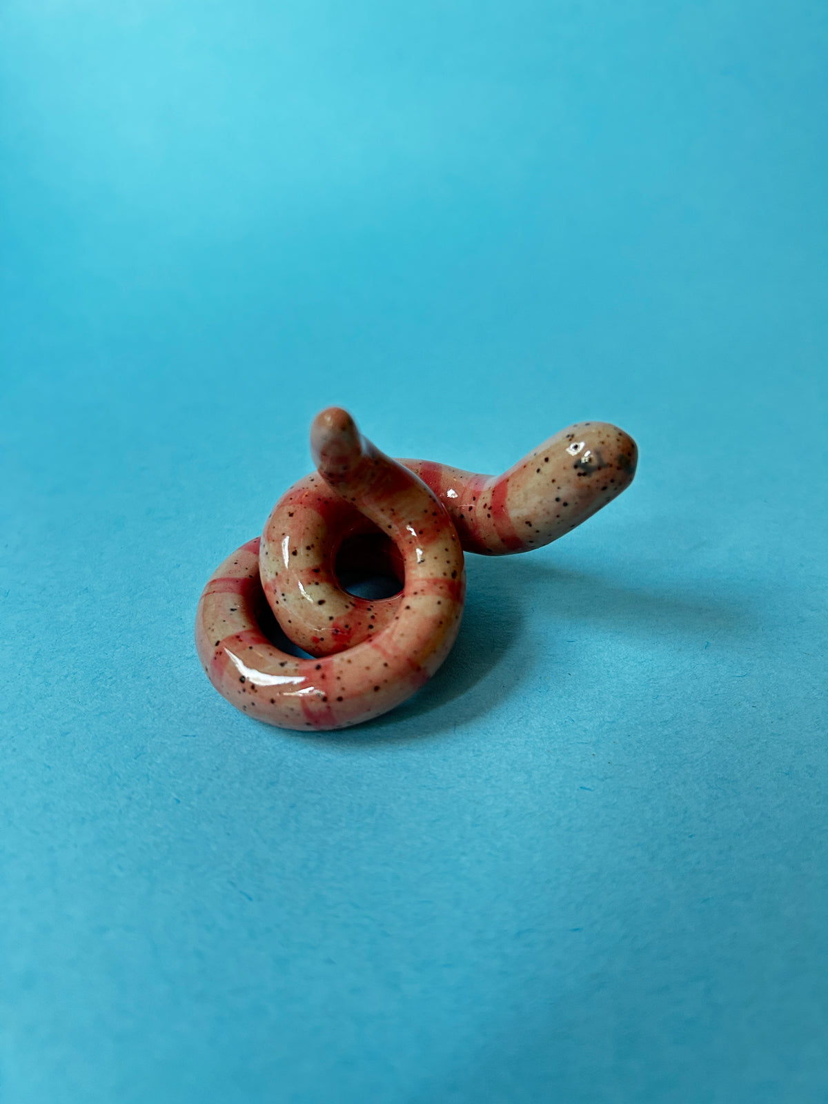 Worm Desk Buddy/ Ring Holder