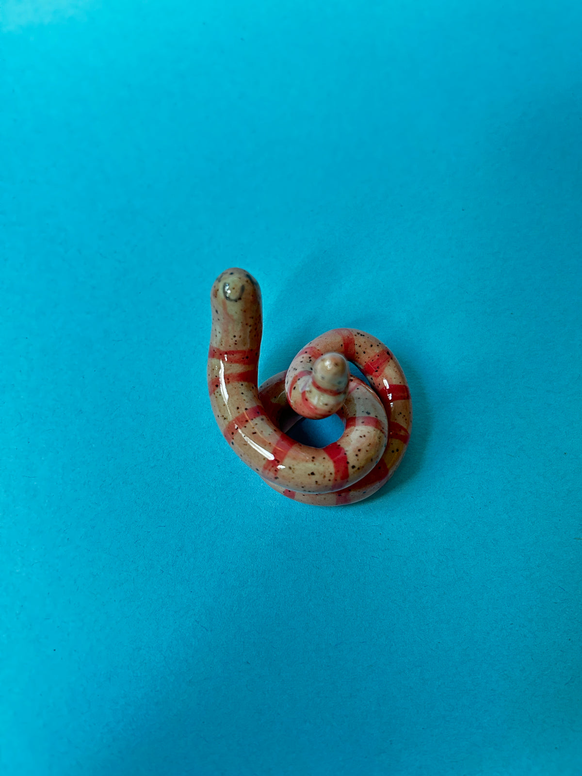 Worm Desk Buddy/ Ring Holder