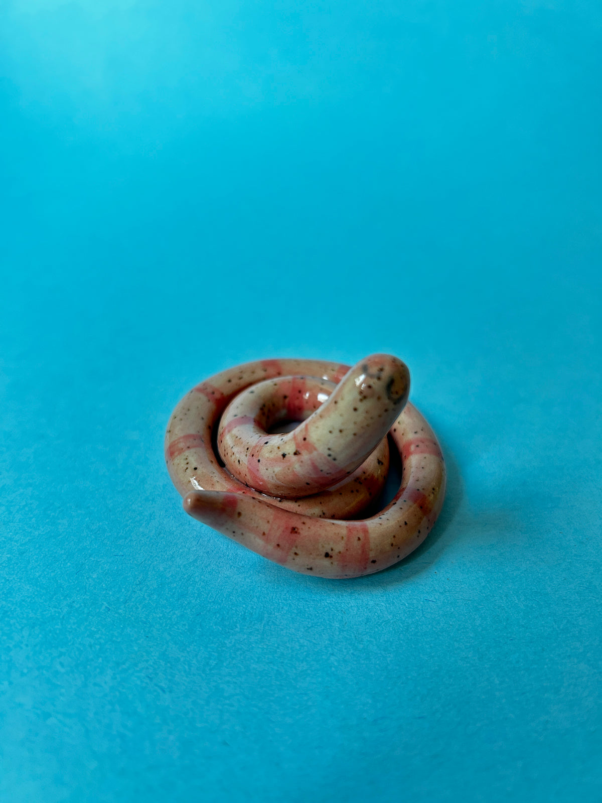 Worm Desk Buddy/ Ring Holder